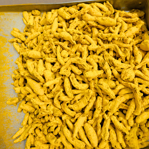 dry turmeric.